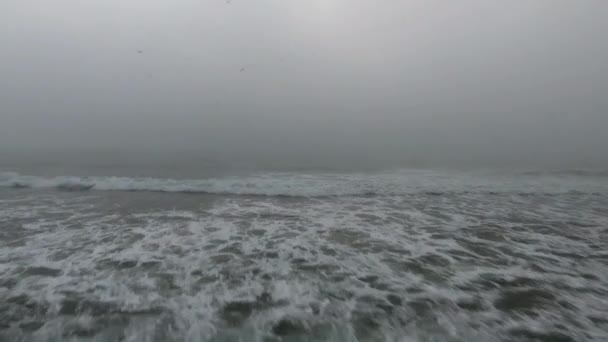 Spiaggia sabbiosa dell'oceano nella fitta nebbia e nebbia e gabbiani volanti — Video Stock