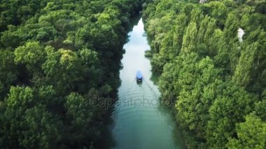 Yelkenli tekne nehre. Tropikal orman. Havadan görünümü. Video 