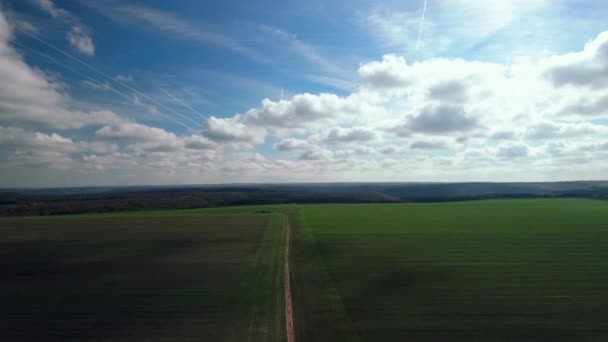 Paisaje de verano de campo de trigo verde con cielo nublado, vista aérea — Vídeos de Stock