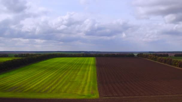 Vista aérea sobre los campos agrícolas — Vídeo de stock