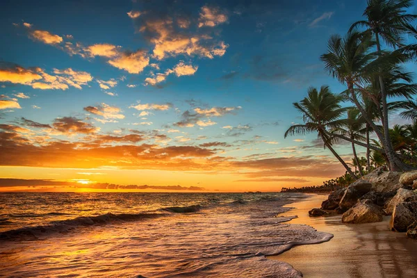 Salida del sol en una isla tropical. Paisaje del paraíso isl tropical —  Fotos de Stock