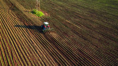 İlkbaharda traktör ekimi 