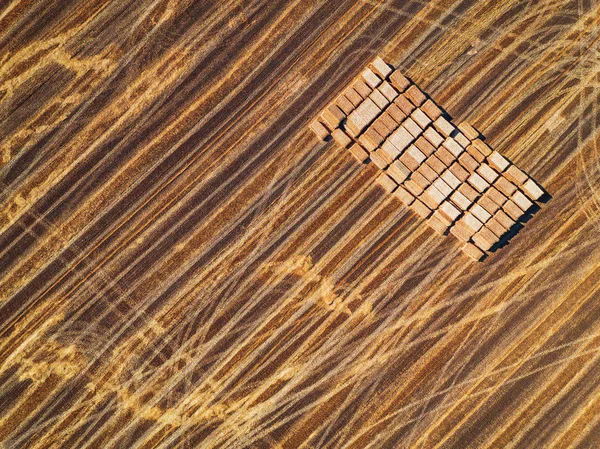 Aerial view of harvest field and hay bales — Stock Photo, Image