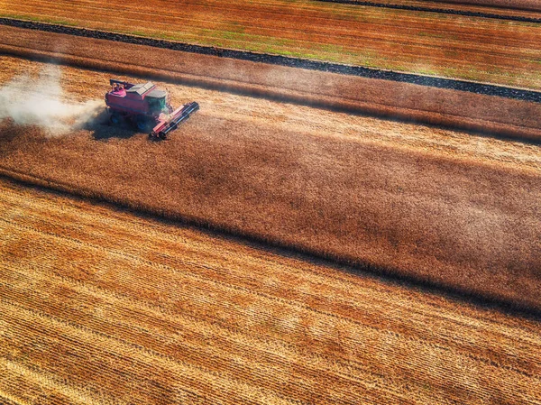 Letecký pohled na sklízecí kombajny zemědělství stroj sklizně — Stock fotografie