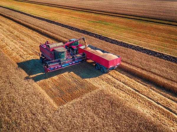 Birleştirme hasat hasat Tarım makineleri, havadan görünümü — Stok fotoğraf