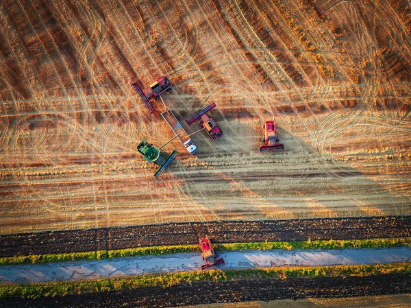 Vue aérienne de moissonneuse-batteuse moissonneuse-batteuse agricole — Photo