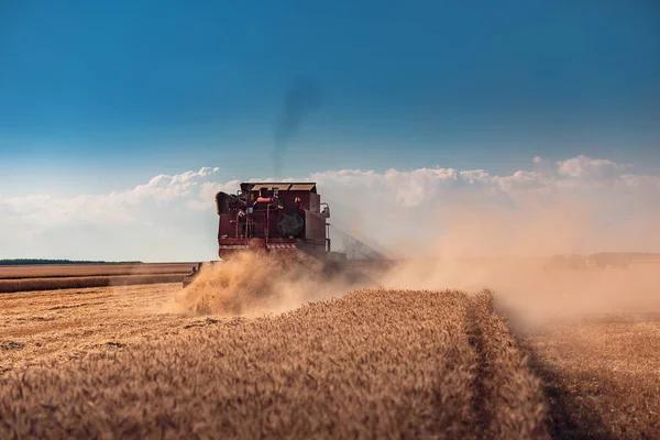 Combineren van harvester landbouw machine gouden rijp whe oogsten — Stockfoto