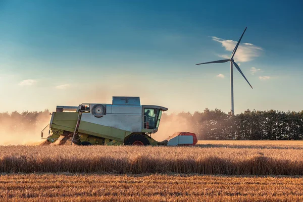 Össze harvester mezőgazdasági gépi betakarítás arany érett whe — Stock Fotó