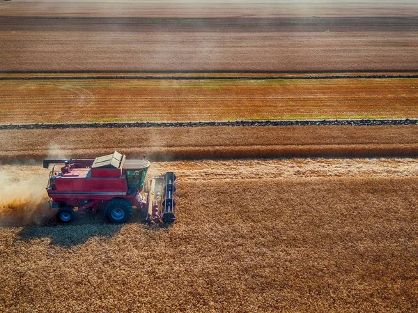 Αεροφωτογραφία του Συνδυάστε harvester γεωργία μηχάνημα συγκομιδής — Φωτογραφία Αρχείου