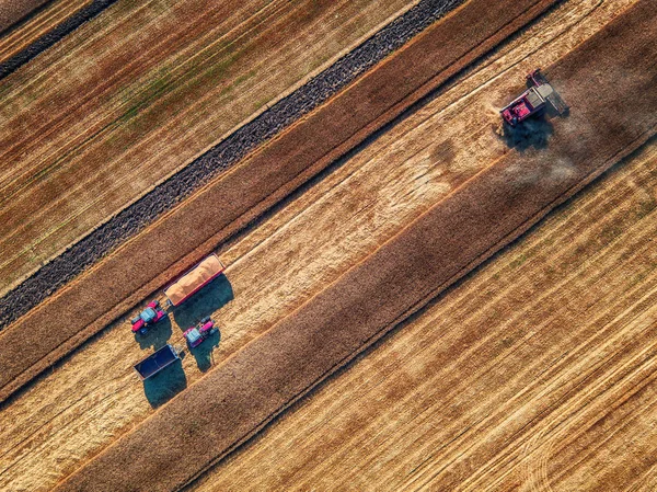 Вид с воздуха на уборку комбайнов сельскохозяйственной техники — стоковое фото