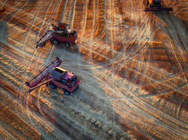Luchtfoto van de Combine harvester landbouw machine oogsten — Stockfoto