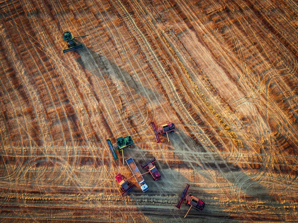 Aerial view of Combine harvester agriculture machine harvesting — Stock Photo, Image