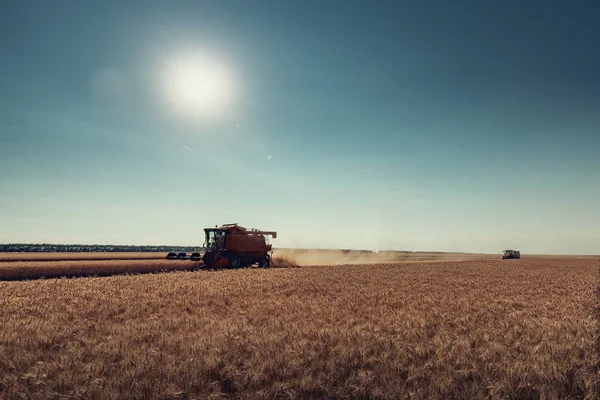 Combinați recoltarea mașinii agricole recoltarea de aur coapte whe — Fotografie, imagine de stoc