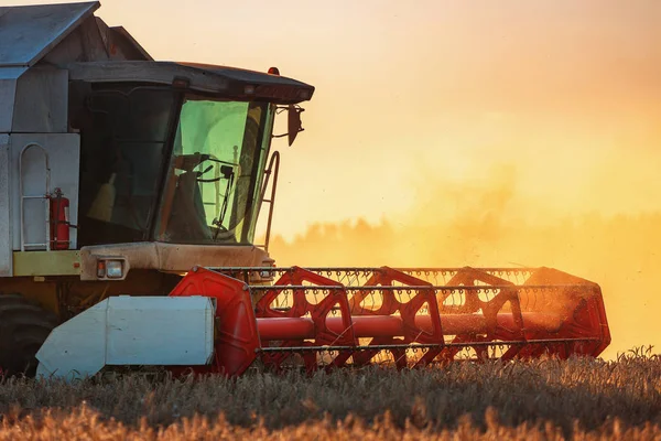 Kombinera skördare jordbruket maskin skörd gyllene mogen whe — Stockfoto