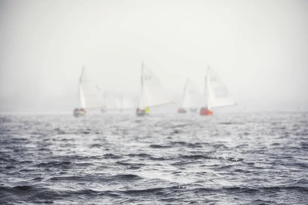 Regata de veleros con velas blancas — Foto de Stock