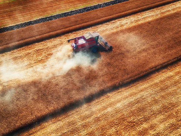 Aerial view of Combine harvester agriculture machine harvesting — Stock Photo, Image