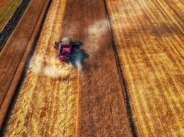 Widok z lotu ptaka Kombajn zbożowy rolnictwo maszyny zbioru — Zdjęcie stockowe