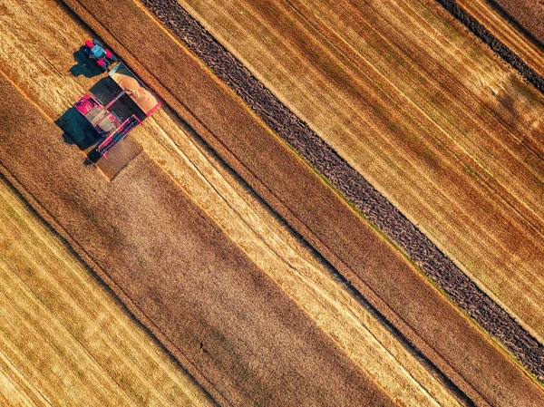 Flygfoto över Combine harvester jordbruket maskin skörd — Stockfoto