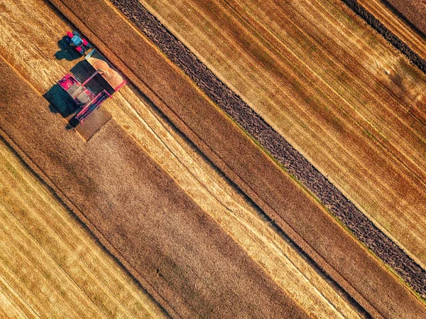 Повітряний вид збирання сільськогосподарської техніки комбайна — стокове фото