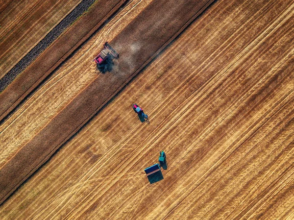 Вид с воздуха на уборку комбайнов сельскохозяйственной техники — стоковое фото