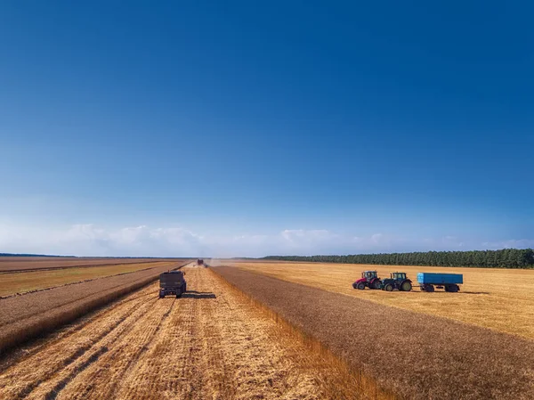 Luchtfoto van de Combine harvester landbouw machine oogsten — Stockfoto