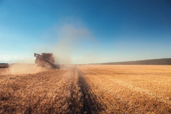 Kombinovat kombajn zemědělství stroj sběr zlatá zralé KD — Stock fotografie