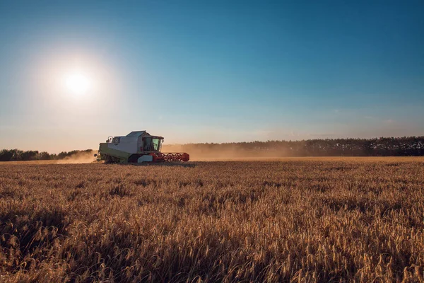 Combine Harvester agricultura máquina de colheita dourado maduro whe — Fotografia de Stock