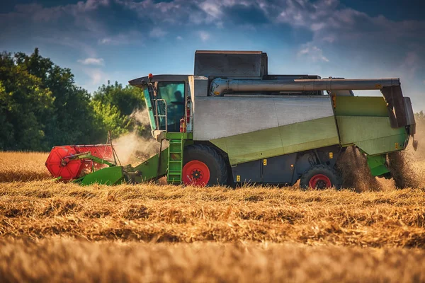 Combineren van harvester landbouw machine gouden rijp whe oogsten — Stockfoto