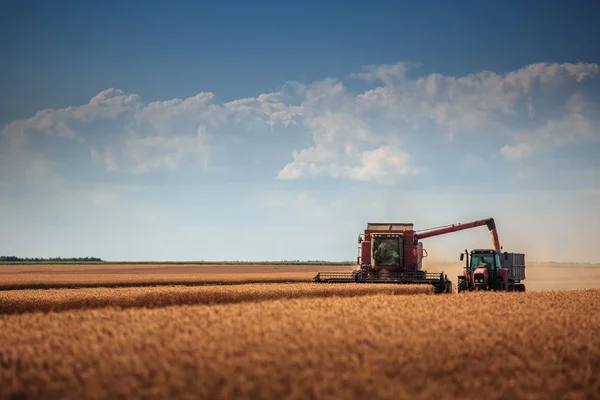 Combine Harvester agricultura máquina de colheita dourado maduro whe — Fotografia de Stock