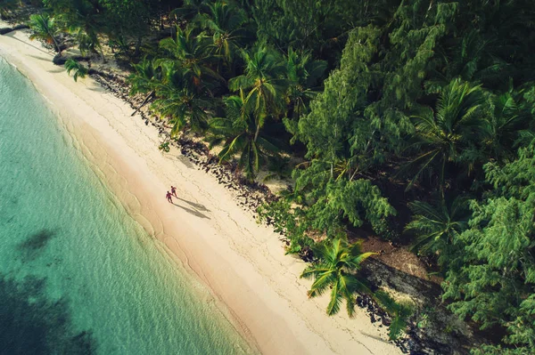 Légi kilátás a trópusi strandra, Dominikai Köztársaság — Stock Fotó