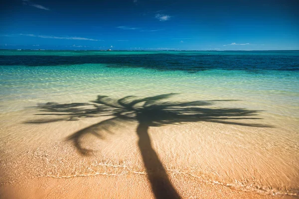 Palm trees shadow on the tropical beach Punta Cana, Dominican Re — Stock Photo, Image