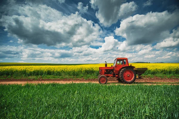 Czerwony traktor w polu — Zdjęcie stockowe