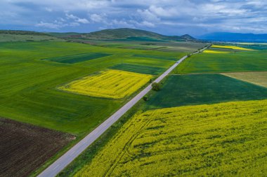 Tarımsal alanların üzerinde hava manzarası 