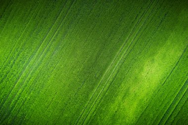 Tarımsal alanların üzerinde hava manzarası