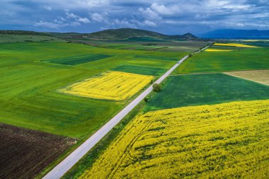 Tarımsal alanların üzerinde hava manzarası 