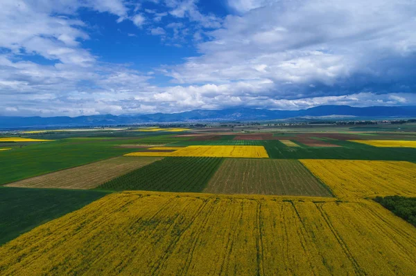 Vista aérea sobre los campos agrícolas —  Fotos de Stock