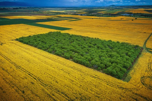 Vista aérea sobre os campos agrícolas — Fotografia de Stock