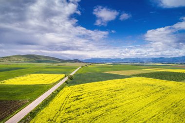Tarımsal alanların üzerinde hava manzarası 