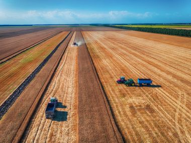 Birleştirme hasat hasat Tarım makineleri, havadan görünümü 