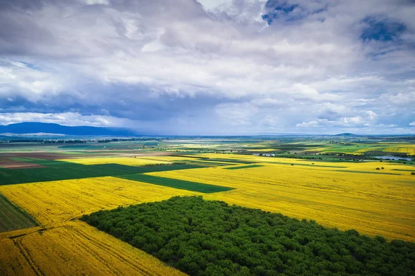 Вид з повітря на сільськогосподарські поля — стокове фото