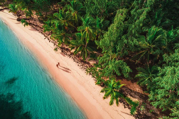 Letecký pohled na tropickou pláž, Dominikánská republika — Stock fotografie