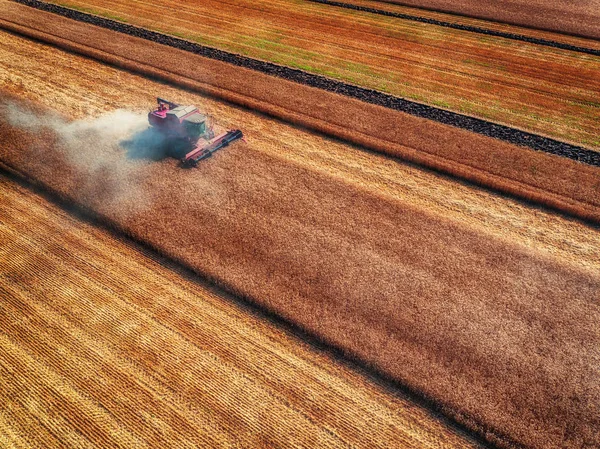 Letecký pohled na sklízecí kombajny zemědělství stroj sklizně — Stock fotografie