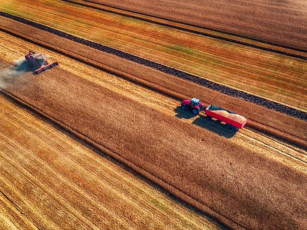 Aerial view of Combine harvester agriculture machine harvesting — Stock Photo, Image