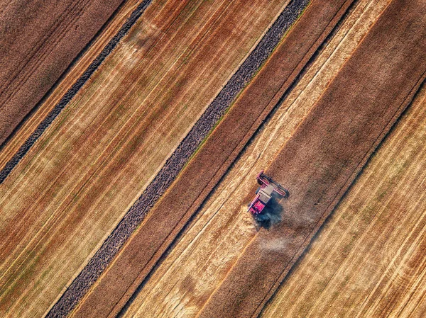 Aerial view of Combine harvester agriculture machine harvesting — Stock Photo, Image