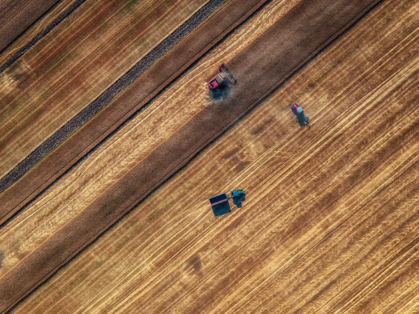 Aerial view of Combine harvester agriculture machine harvesting — Stock Photo, Image