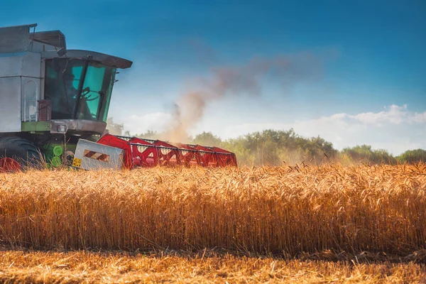 Combineren van harvester landbouw machine gouden rijp whe oogsten — Stockfoto