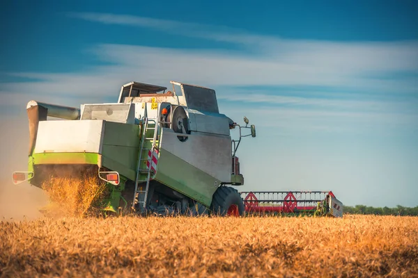 Combine harvester agriculture machine harvesting golden ripe whe — Stock Photo, Image