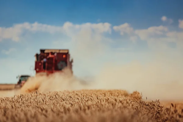 Combineren van harvester landbouw machine gouden rijp whe oogsten — Stockfoto
