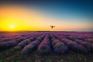 Shabla, Bulgaristan - Haziran 24, 2016: Image in ile DJI indeks işlem ilham 1 Pro dro