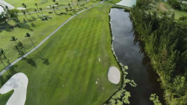 Vista aérea del campo de golf. Paisaje de un campo de golf con palmeras en Punta Cana — Vídeos de Stock